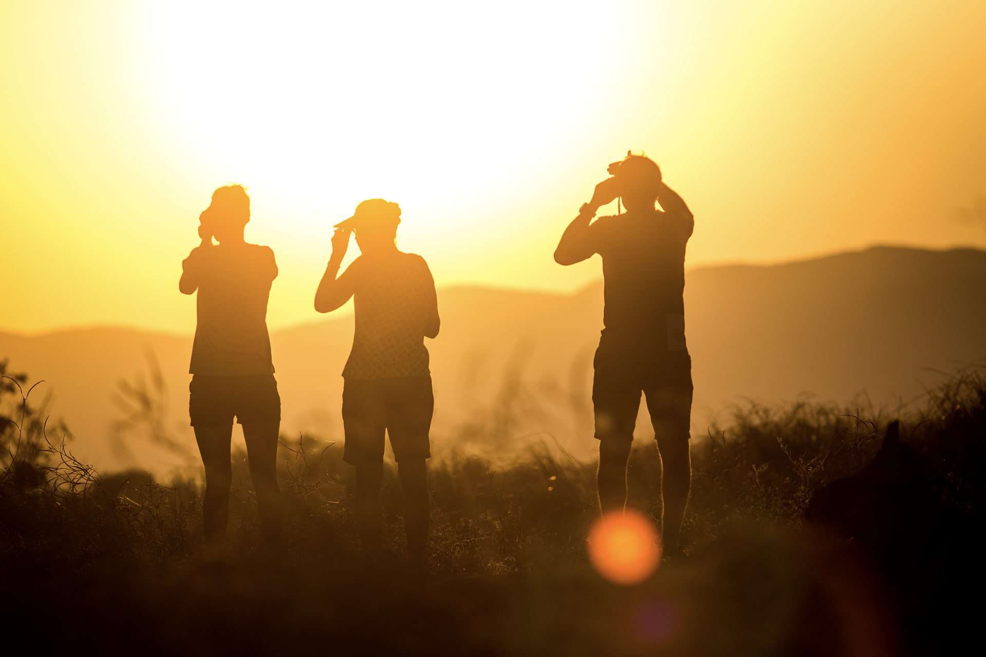 three people standing in a field at sunset looking through binoculars