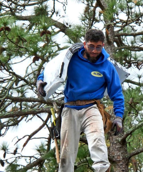 A man wearing a blue hoodie with a logo that says alpha