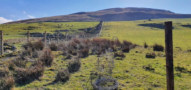 J.A. Halkett & Son based in Newton Stewart install quality agricultural fencing throughout Dumfries and Galloway
