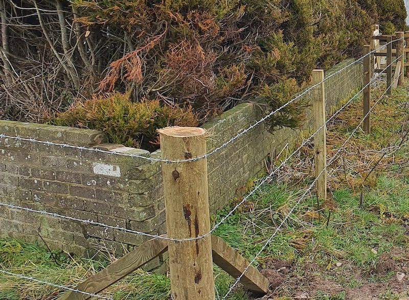 Agricultural Fencing supplied and installed by J.A. Halkett & Son