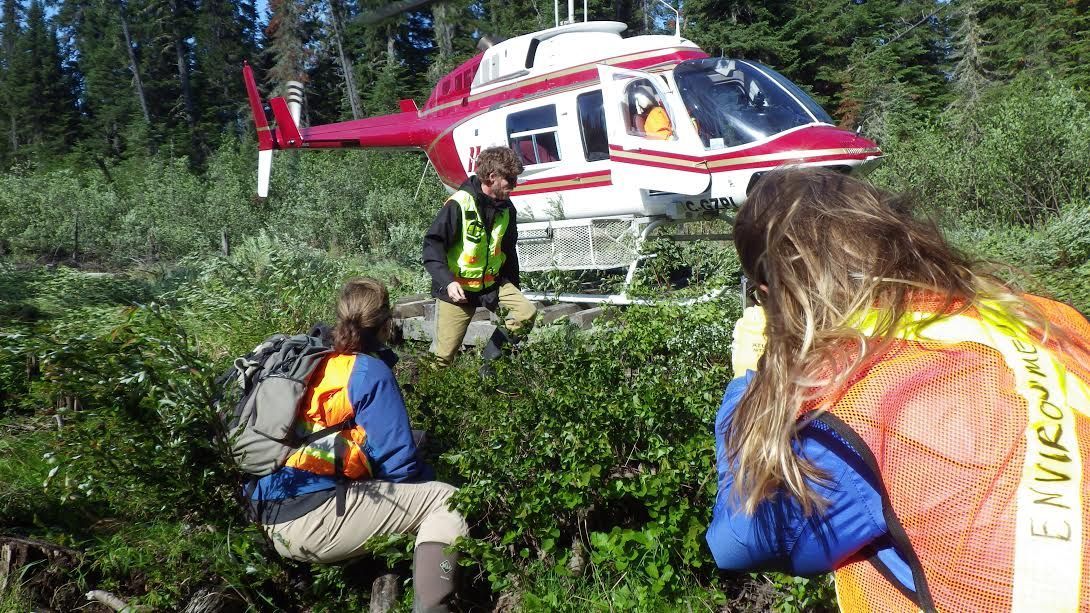 People in safety vests near a red and white helicopter in a forested area.