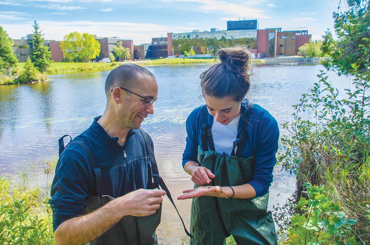 Man and woman near a lake examining small insects. Building in background on a sunny day.