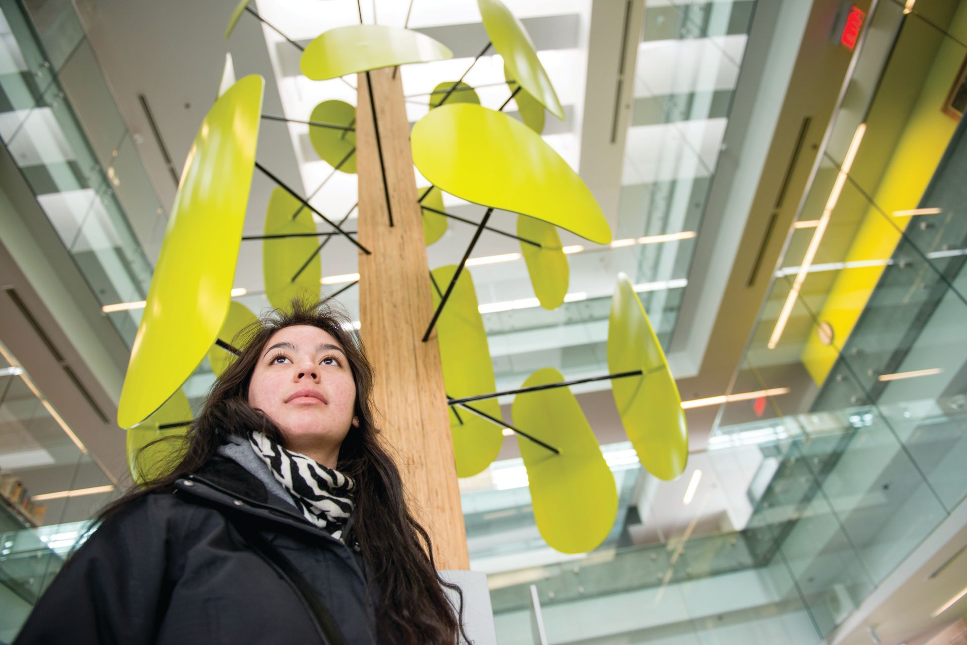 Woman looking up at a green and brown art installation in the library