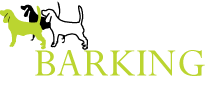 Barking Success