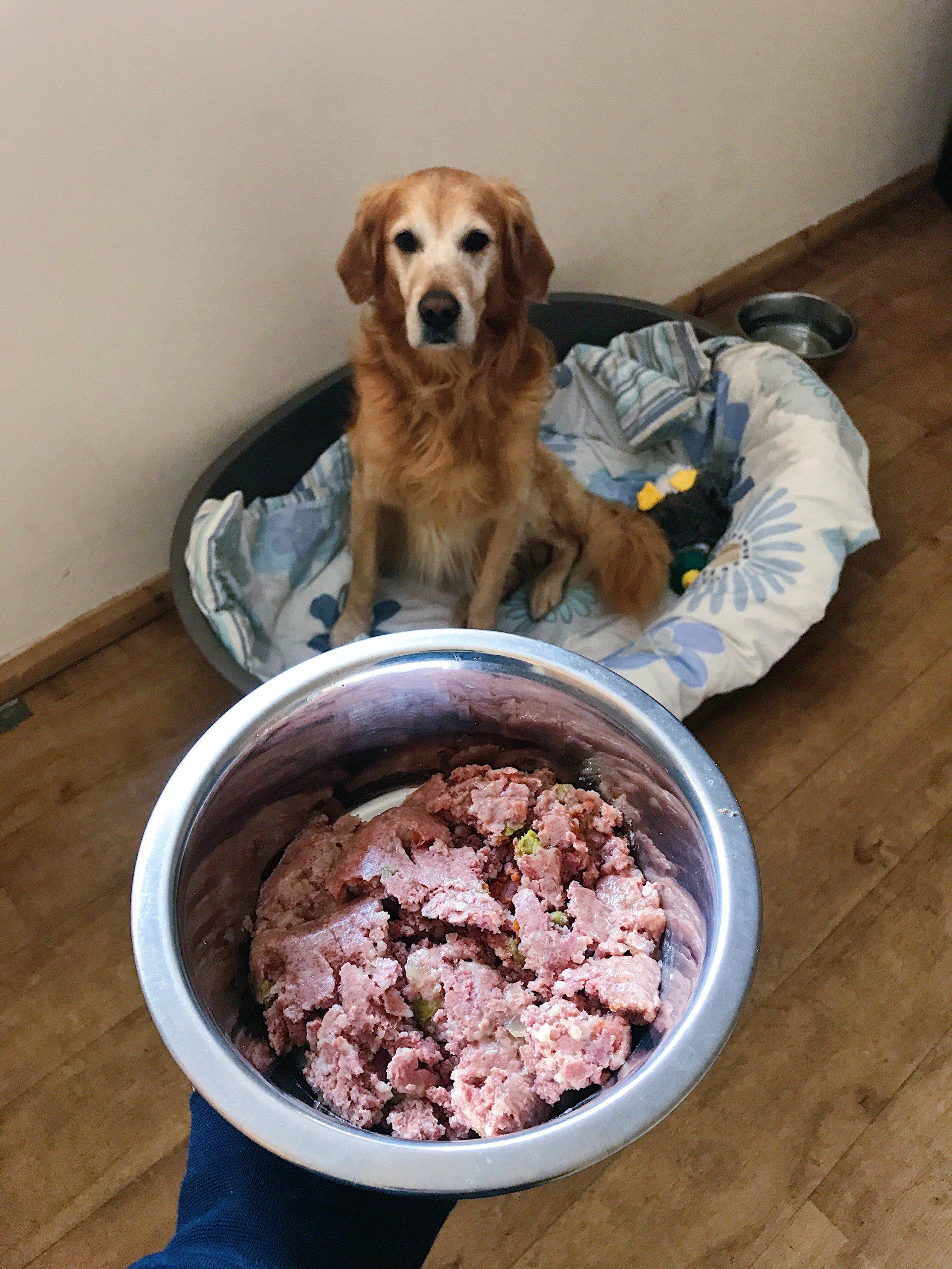 natures menu raw food