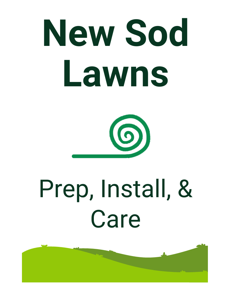 New Sod Lawns Guide - PDF Download