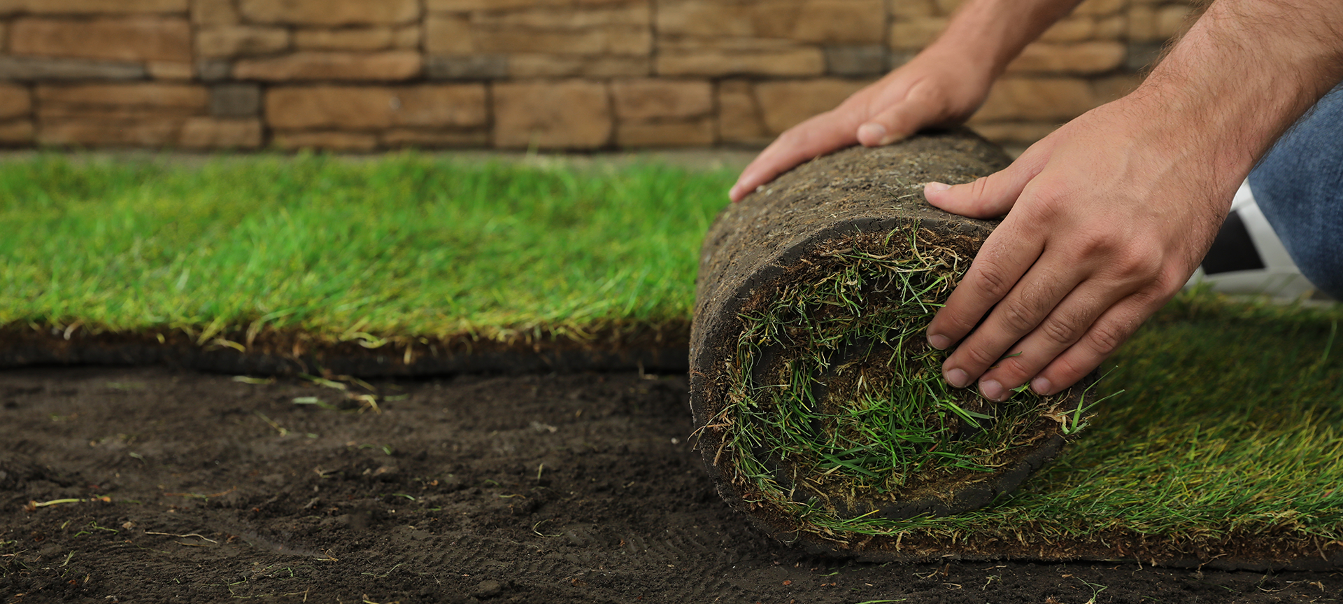 laying down sod