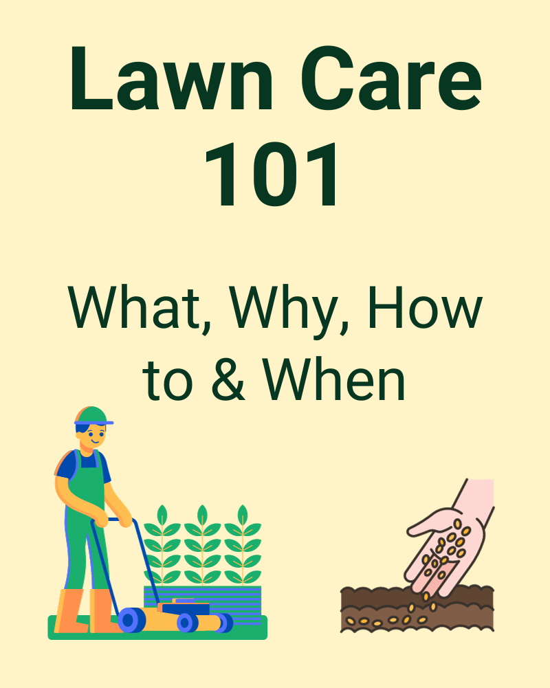 Lawn Care 101 - PDF Download
