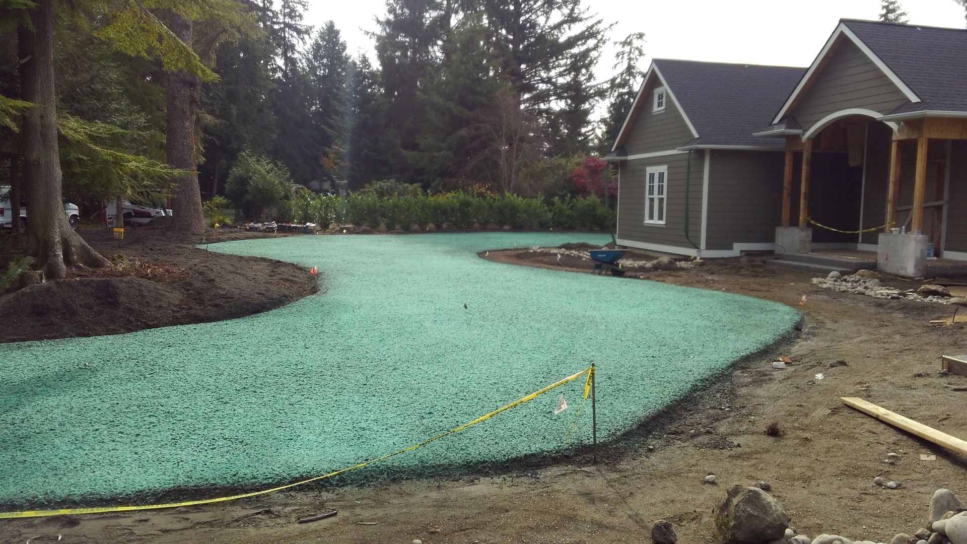 hydroseeded yard