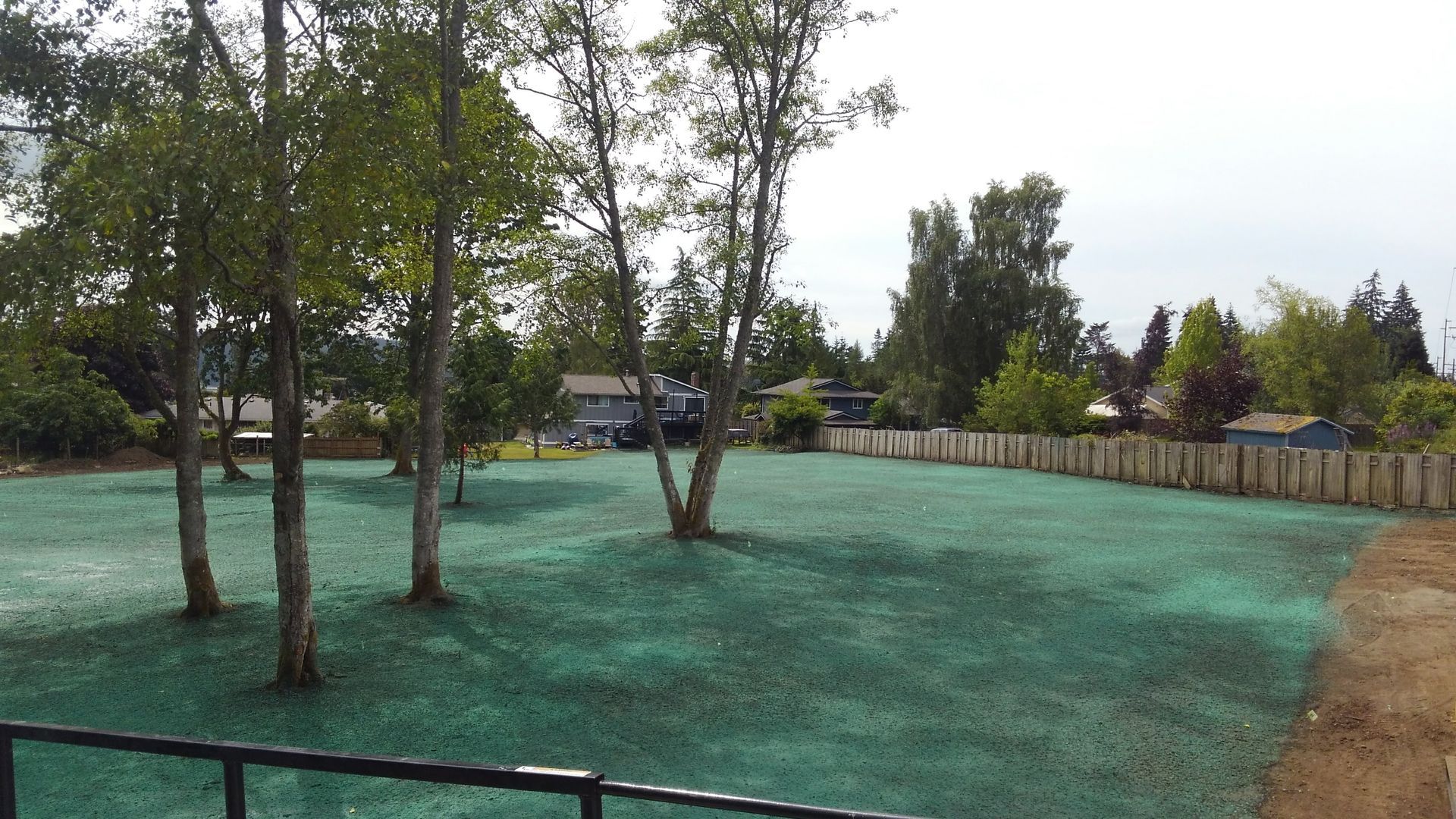 Lefeber Turf Farm applied hydroseed to this yard
