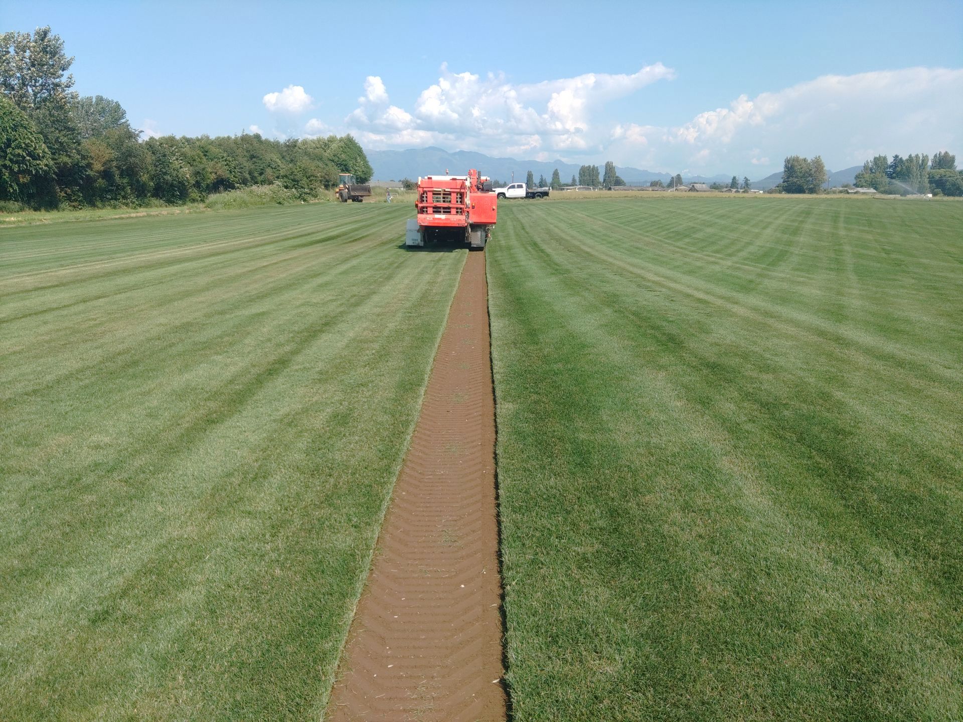 Lefeber Turf Farm field