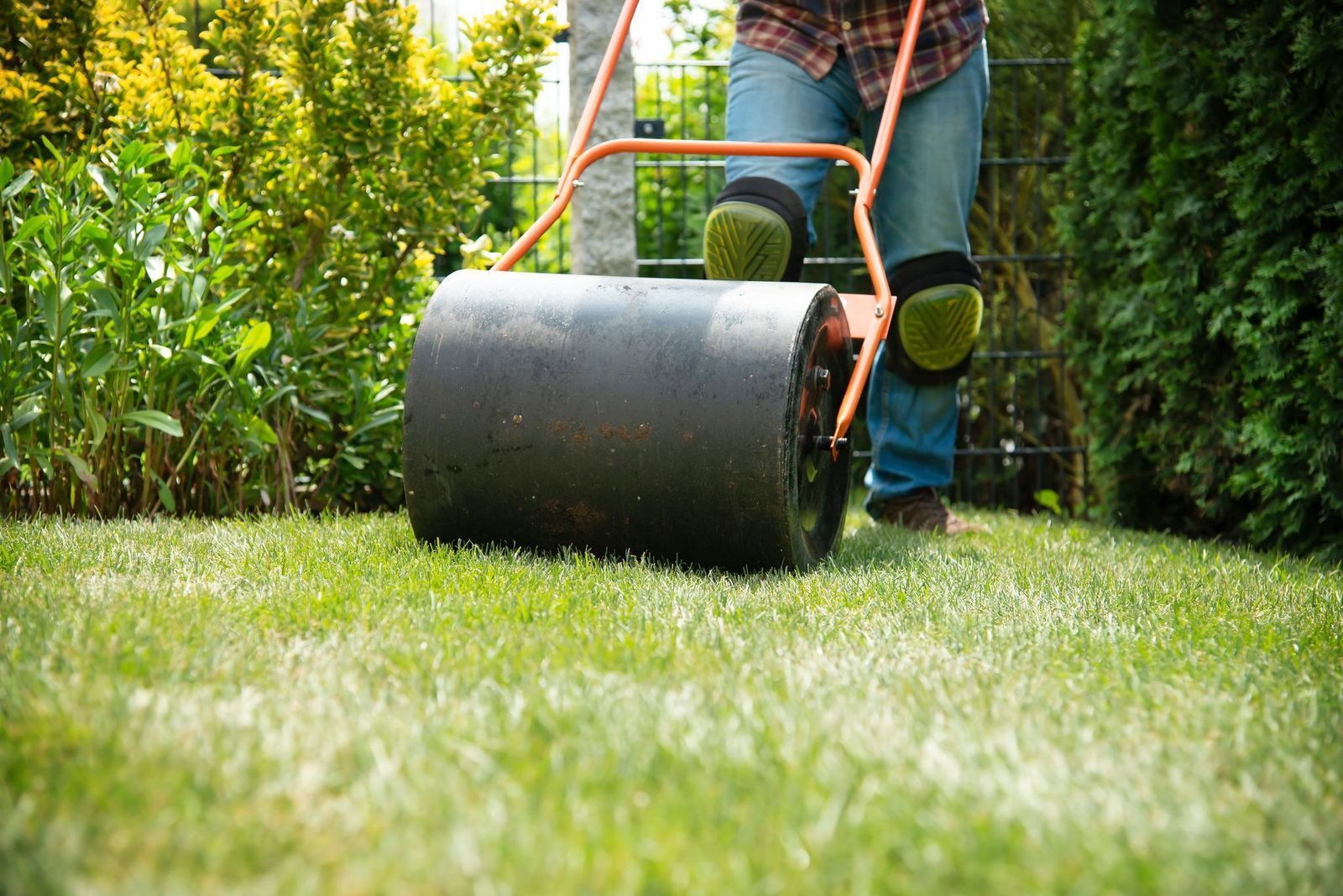 lawn roller