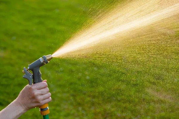 sprayer