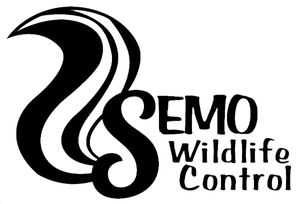 SEMO-wildlife