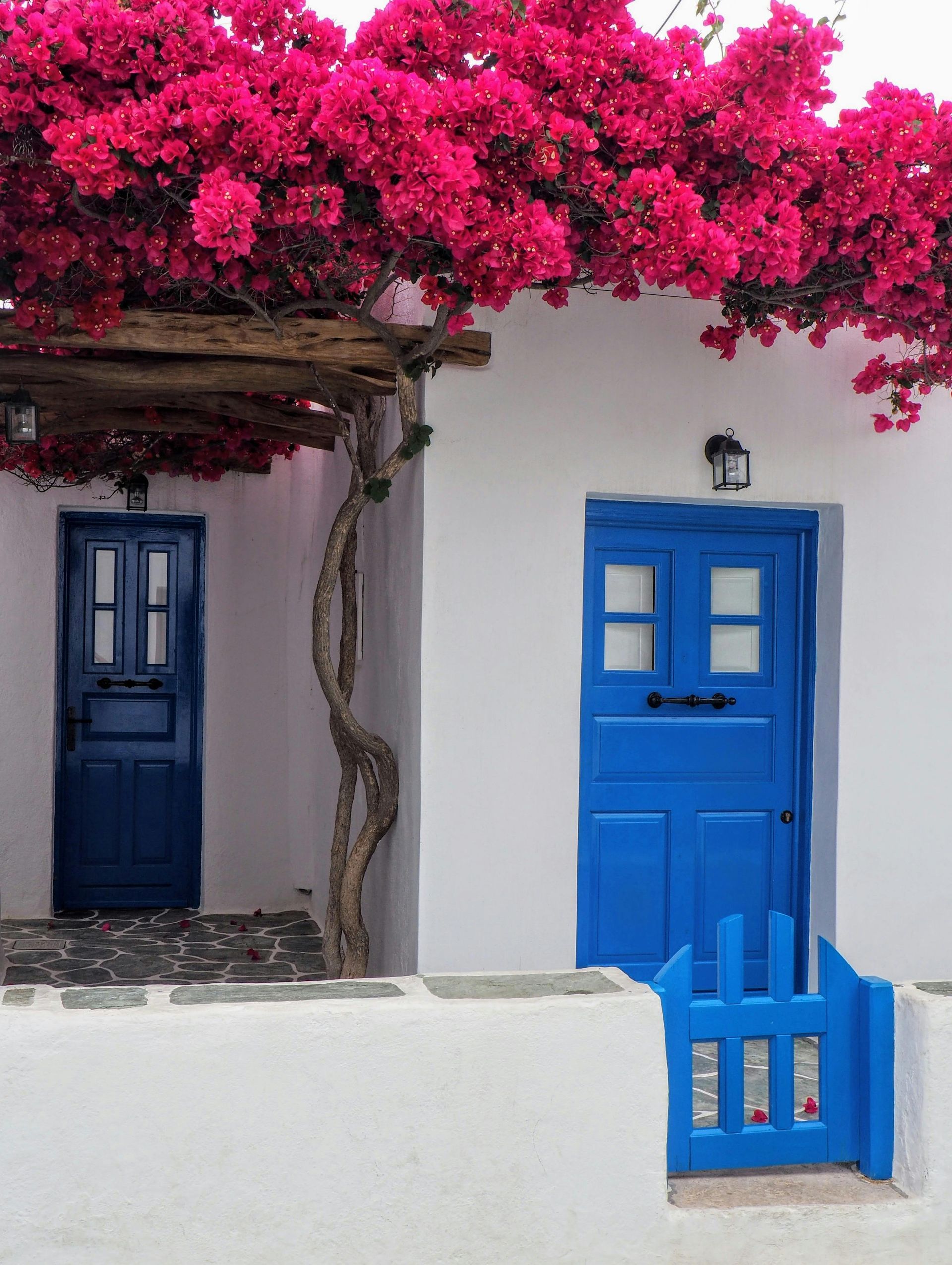 A white house with blue doors and pink flowers
