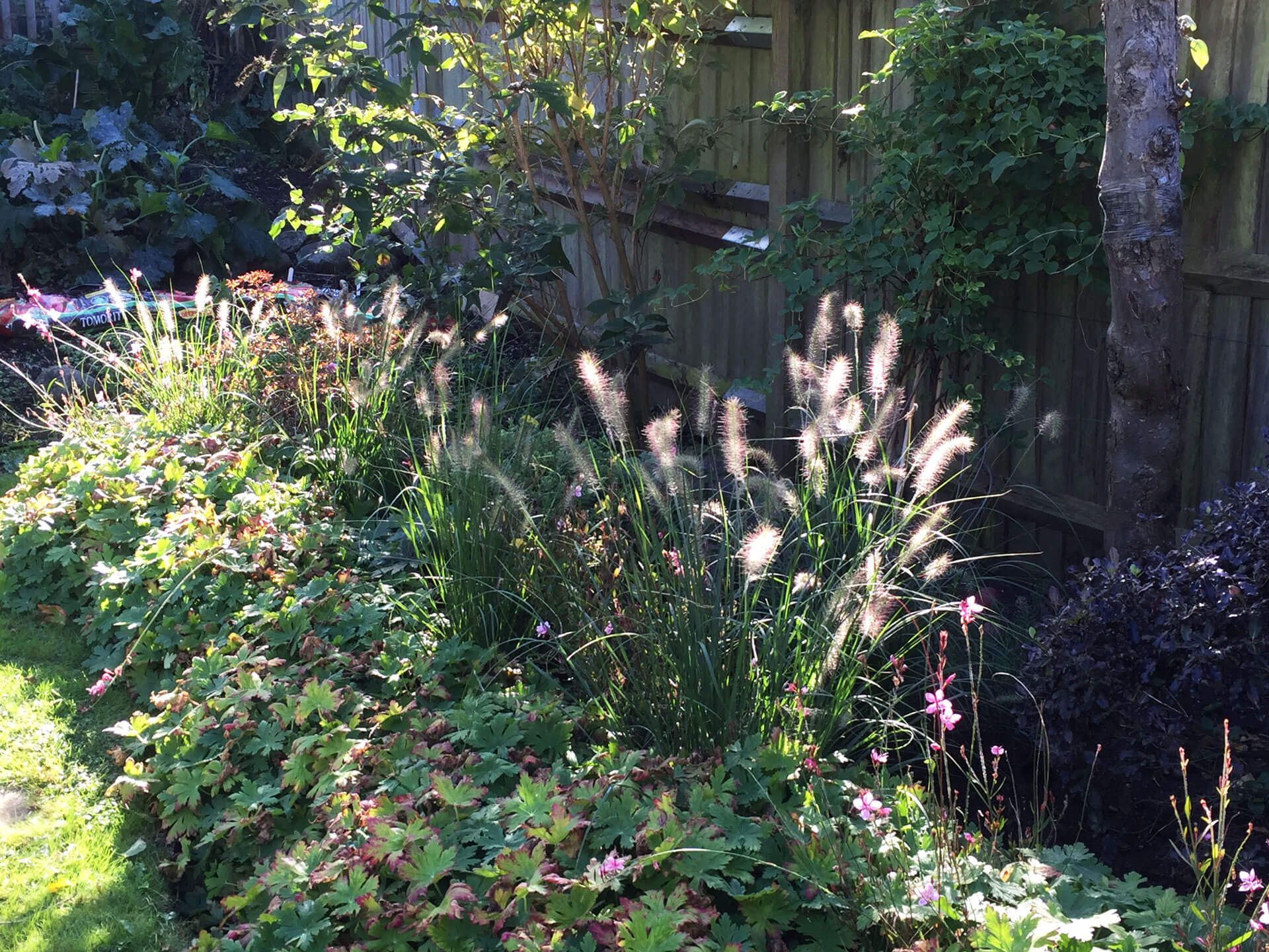 plants and flower arrangements