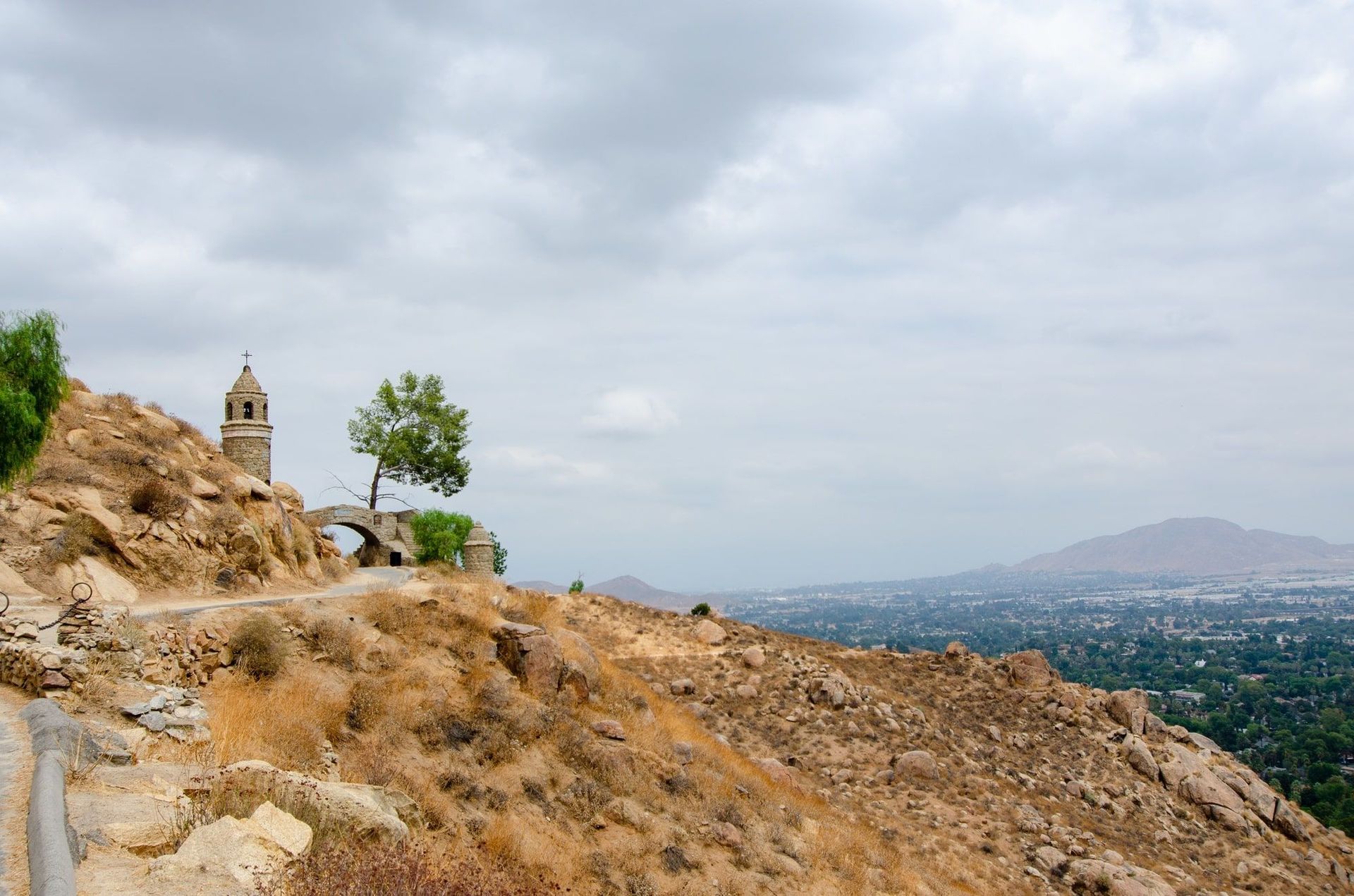 A tree is sitting on top of a hill with a tower in the background.