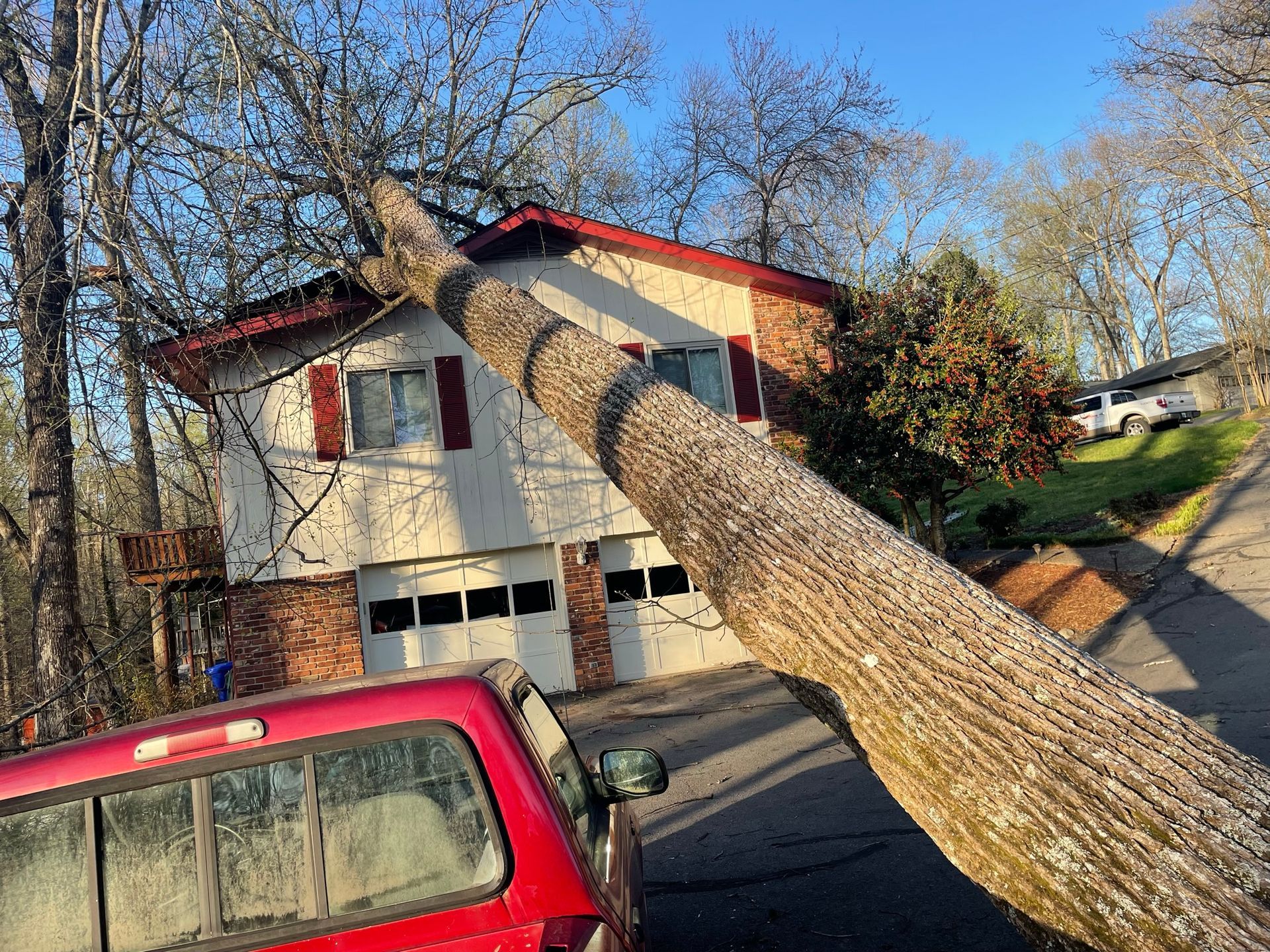 A tree has fallen on a red truck in front of a house.