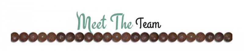 “Meet The Team” title above a row of brown dots on a white background