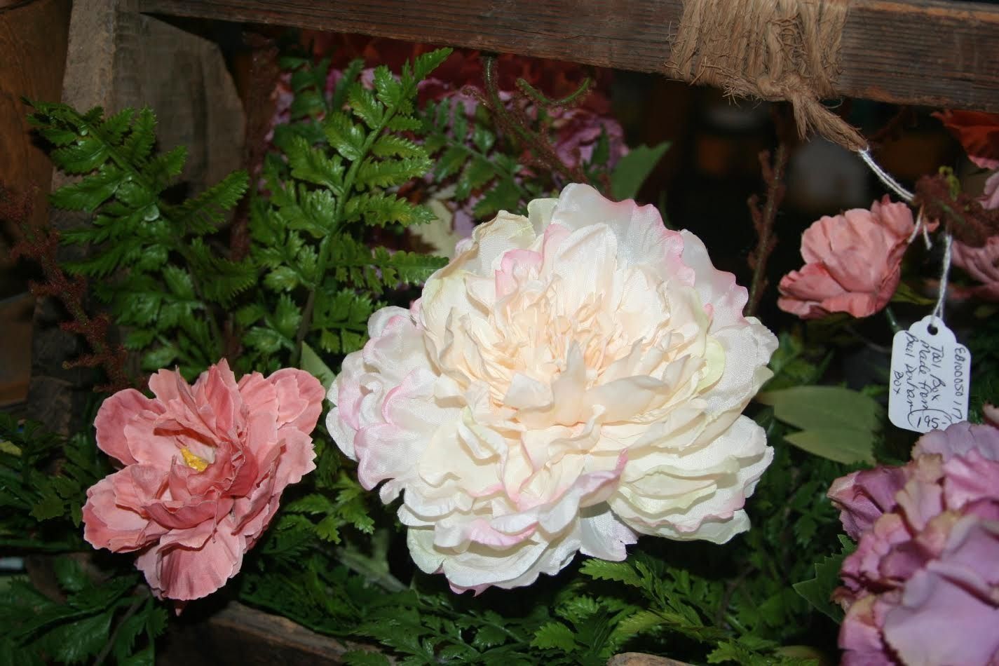 Pink and white peonies among green fern leaves in a floral display