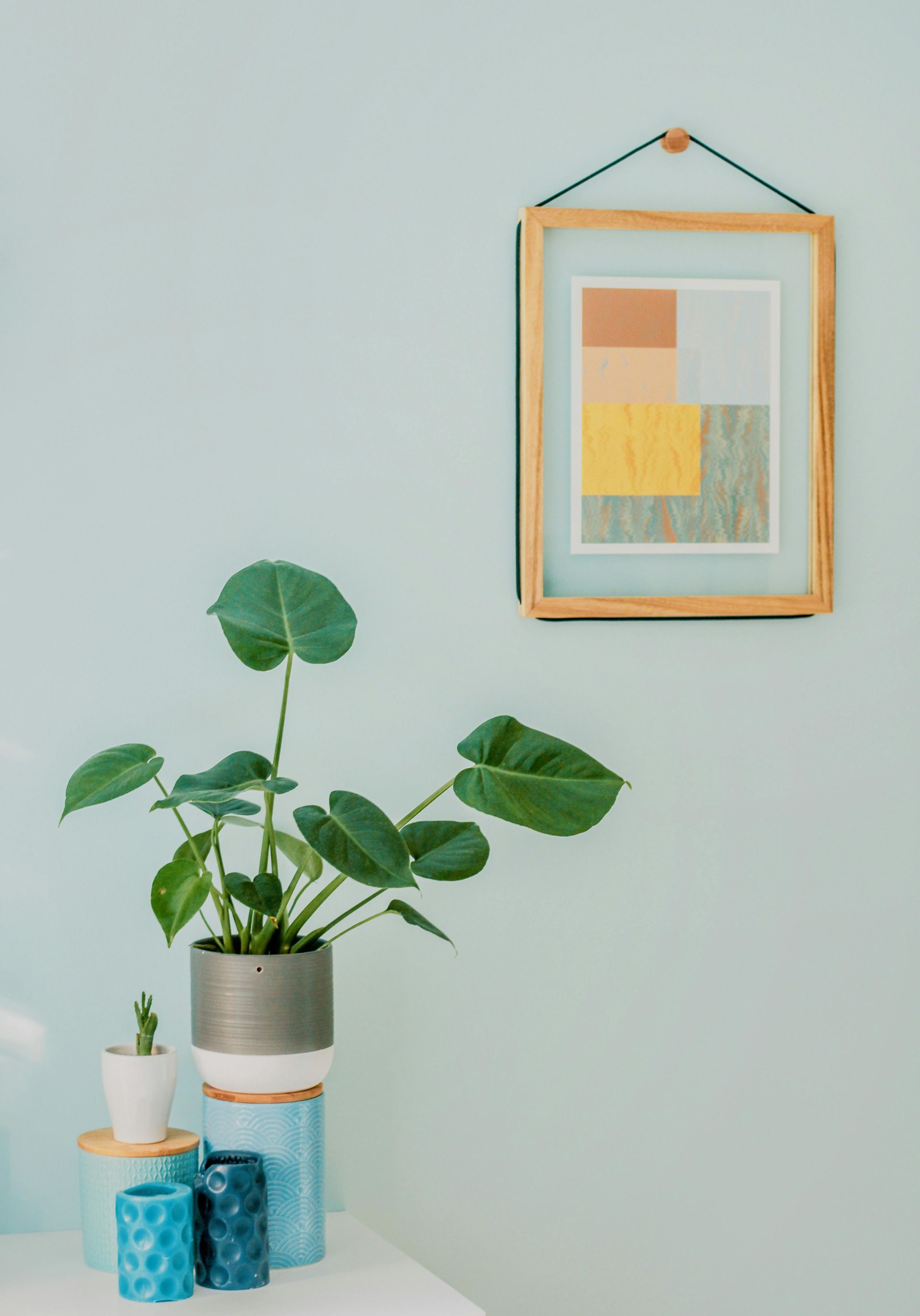 A potted plant is sitting on a table next to a picture on a wall.