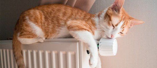 Warm Radiator - New Comfort Heating & Cooling in Brookville, OH
