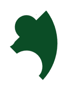 Green, abstract leaf-like shape on a white background.