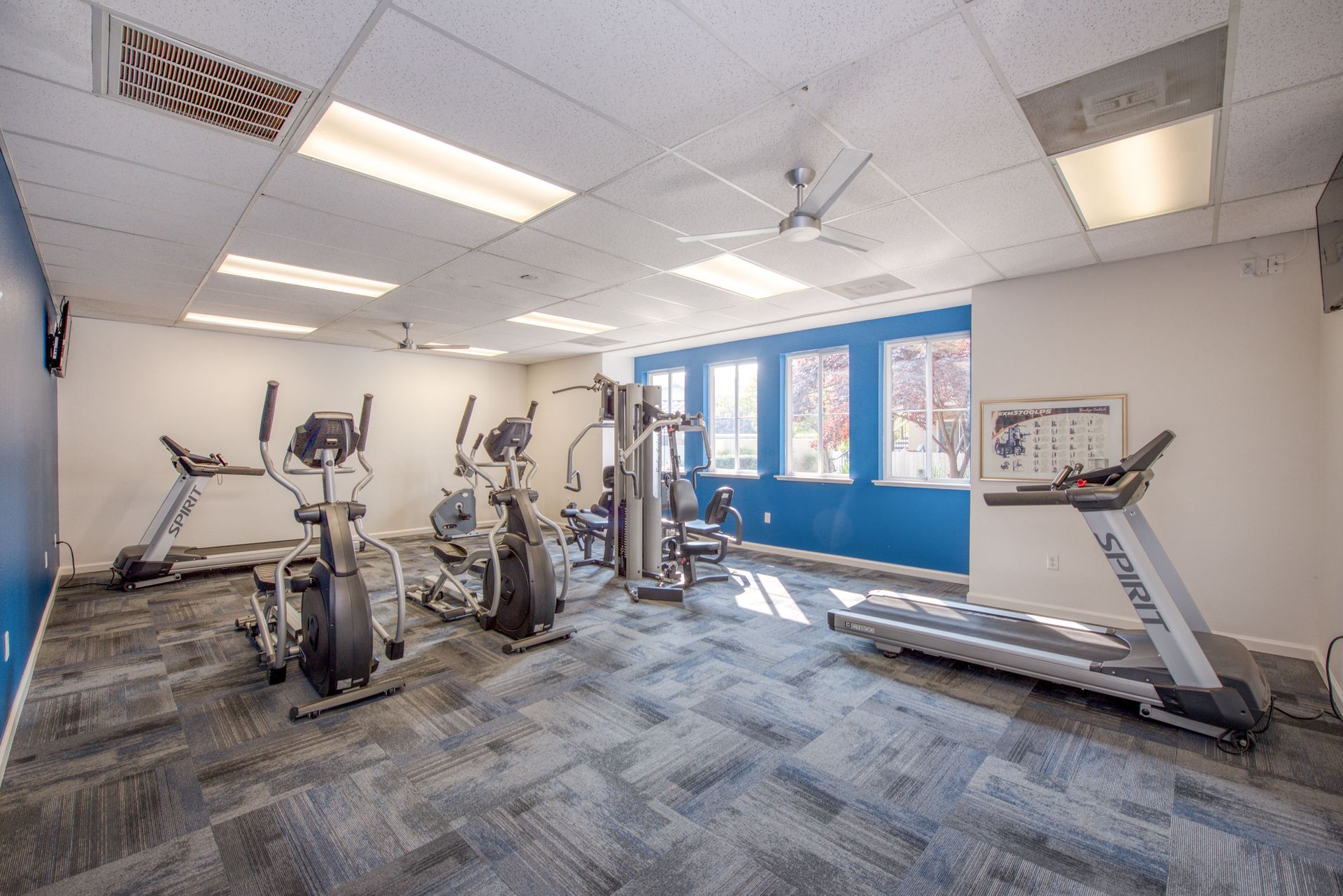 a gym with a lot of exercise equipment and a treadmill .