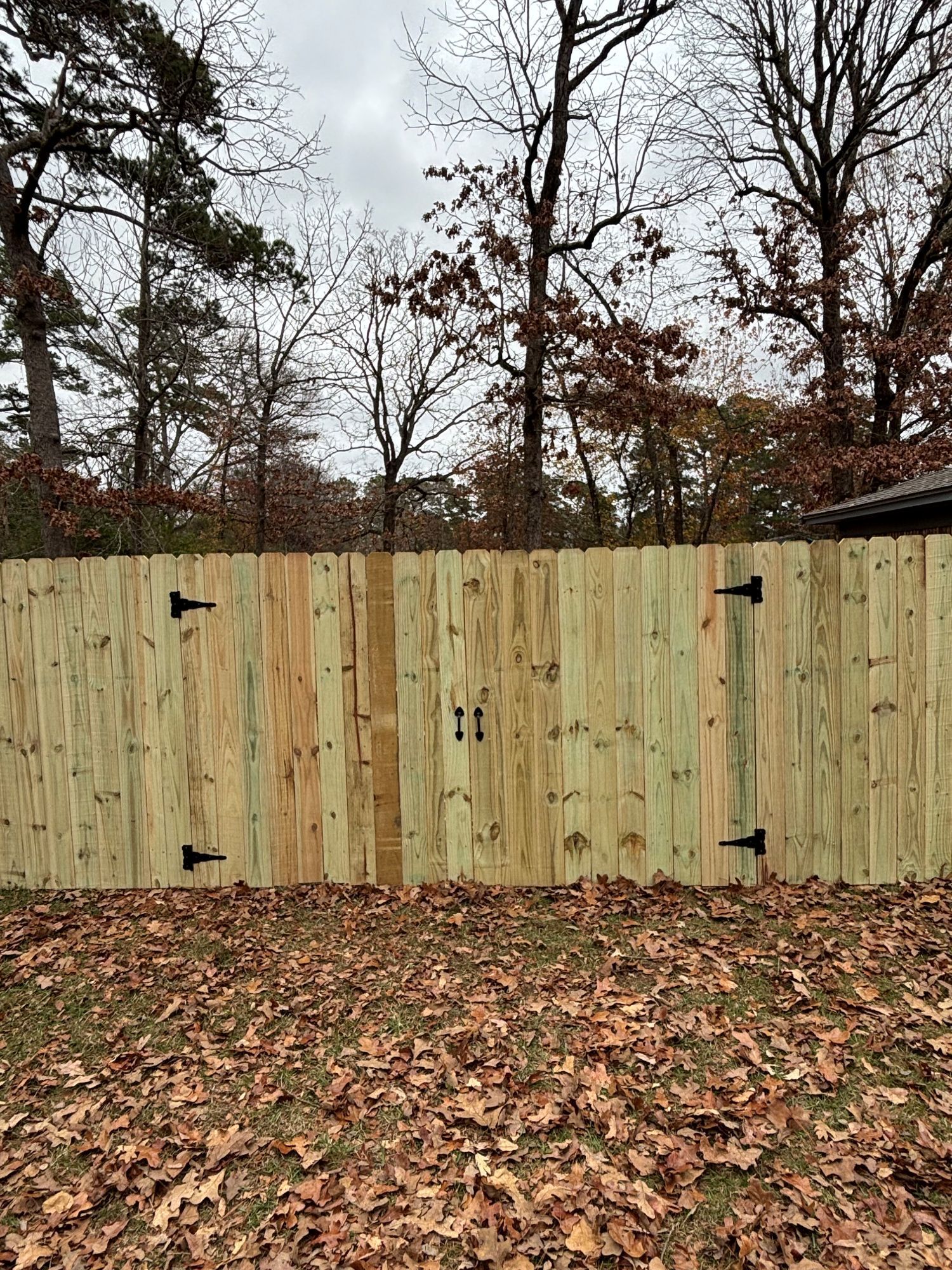 Wooden fence with gate, black hinges and handle, surrounded by trees and fallen leaves.
