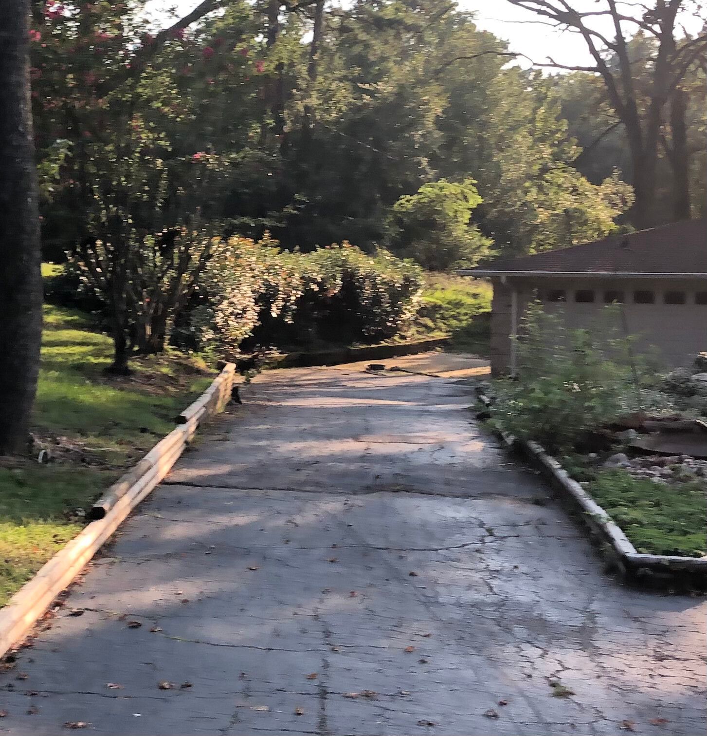 Sunlit driveway leading to a garage, flanked by grass, bushes, and trees. Concrete is cracked.
