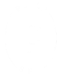 Pelle Spa logo best med spa