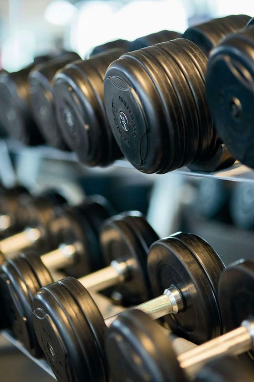 A row of dumbbells are lined up on a rack in a gym.