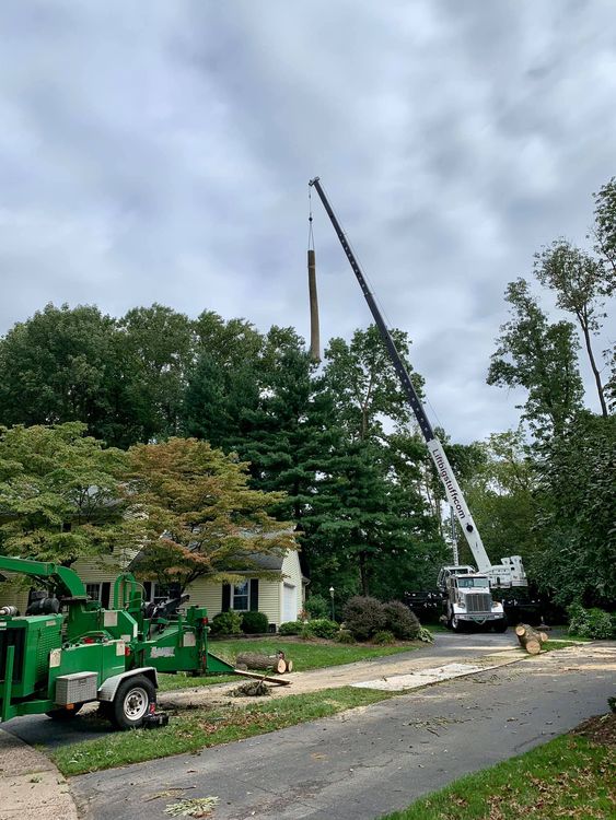 Yellow Crane — Chalfont, PA — Lift Tech Crane and Rigging