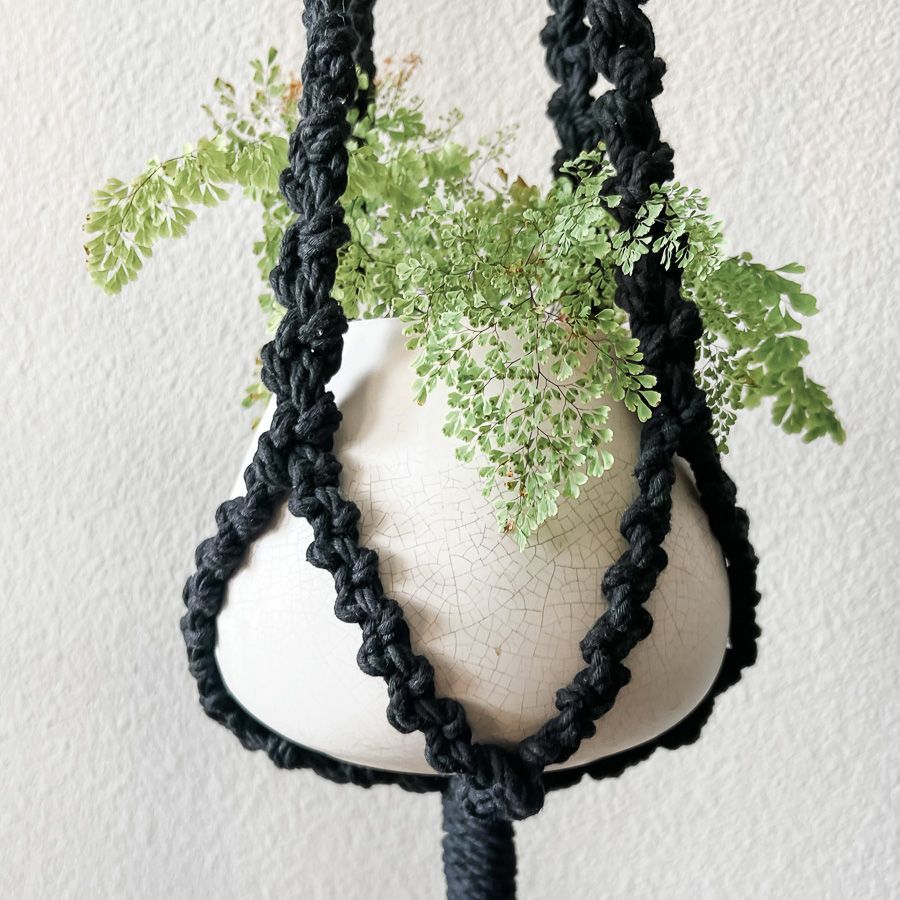 Plant Hangers
