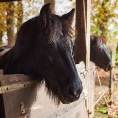 Galerie von Pflegedienst Up de Heid