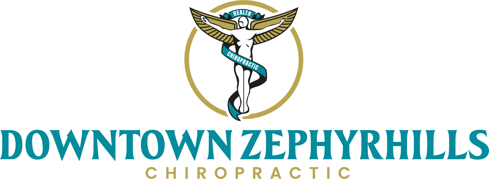 Wellness chiropractic care in Wesley Chapel FL