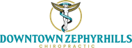 Spinal decompression therapy for herniated disc Zephyrhills