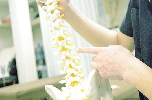 Physical Therapist Showing Anatomical Spine — Chiropractic in Maryville, TN