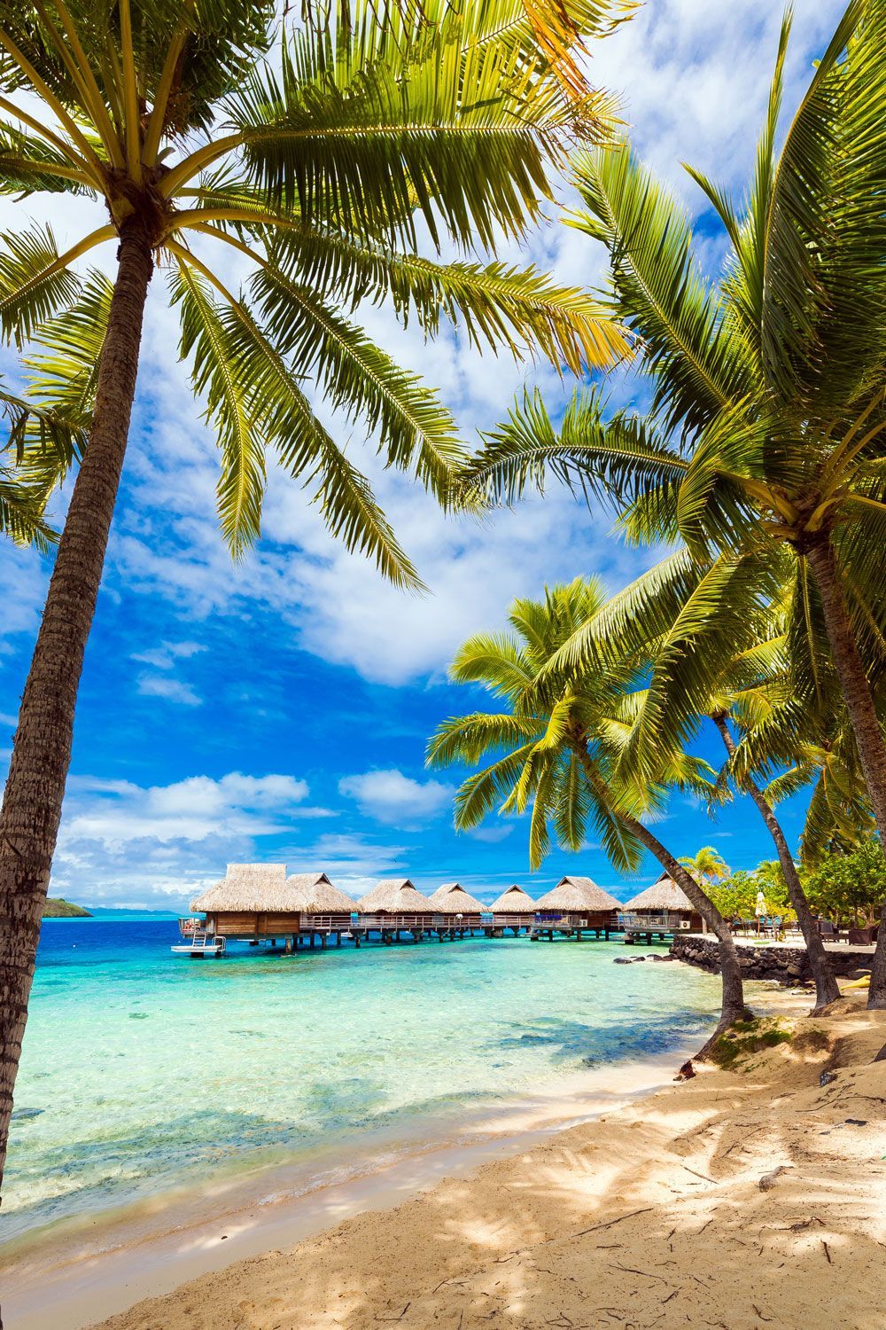 Tropical beach with overwater bungalows, lush palm trees, and turquoise water under a bright blue sky.