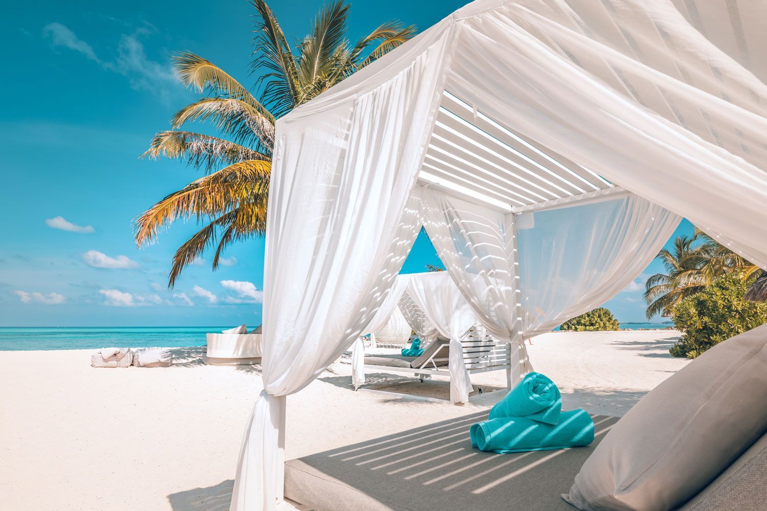 White canopy bed on a sunny tropical beach with turquoise water and a palm tree in the background. White canopy bed on a sunny tropical beach with turquoise water and a palm tree in the background.