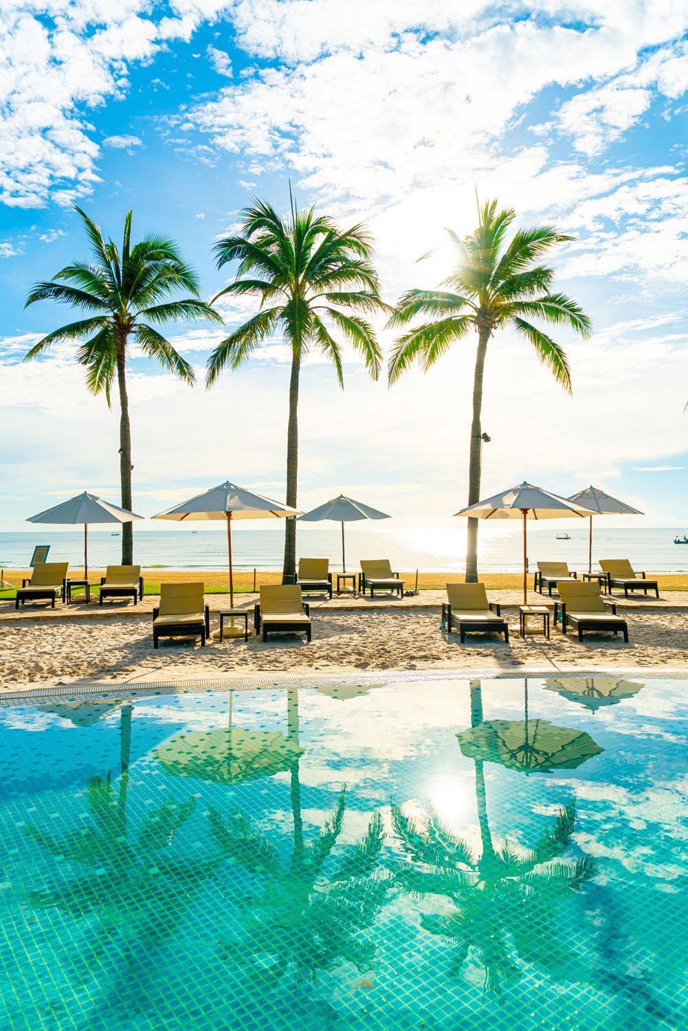 A bright, sunny beach scene with a pool in the foreground, three palm trees, and beach umbrellas over lounge chairs. A bright, sunny beach scene with a pool in the foreground, three palm trees, and beach umbrellas over lounge chairs.