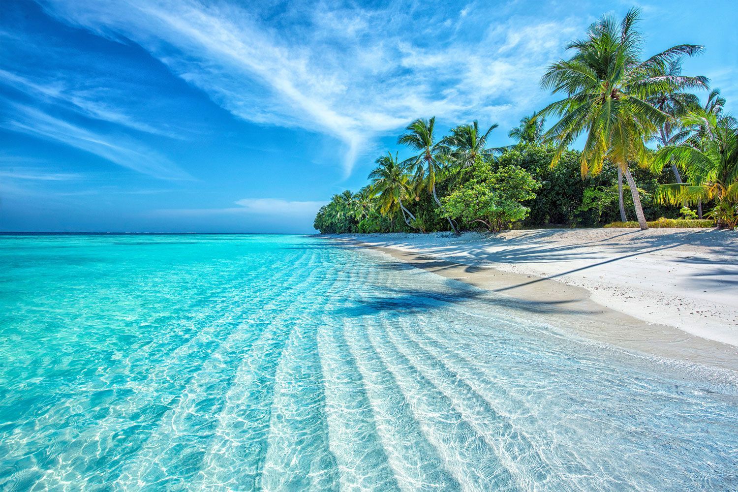 Tropical beach with clear turquoise water, white sand, and lush palm trees under a bright blue sky.