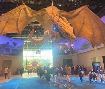 The family of Shehu Balogun enjoy day Harry Potter World