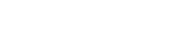 Naphtali & Associates logo