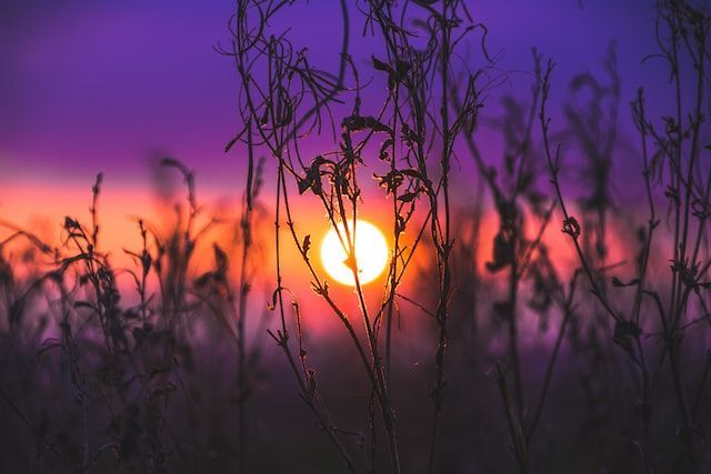 cremation services Ogden UT