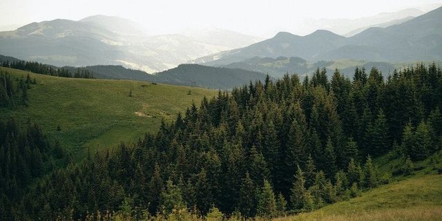 Does Medicaid Pay For Funerals? - Kaysville UT