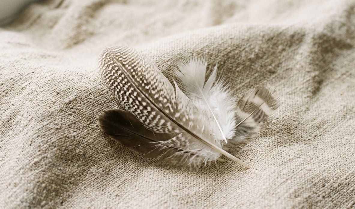 Soft feathers resting on textured fabric, funeral homes in Kaysville, UT