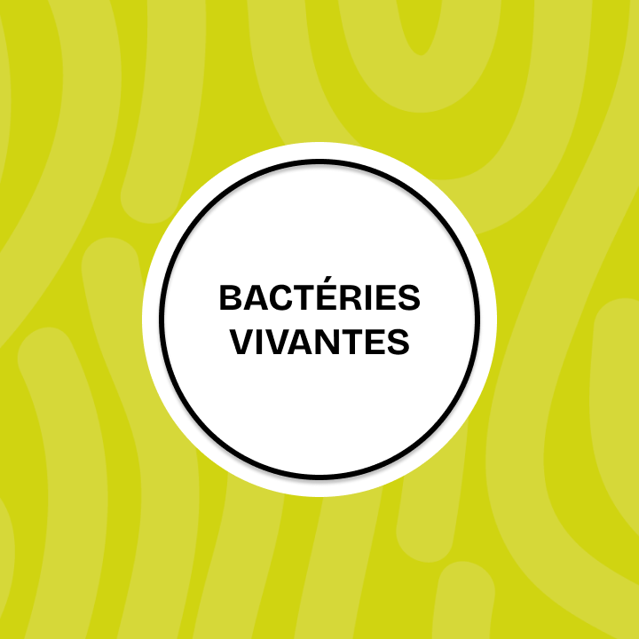 Cercle blanc sur fond ondul&eacute; vert citron contenant le texte noir : BACT&Eacute;RIES VIVANTES.