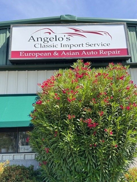 Angelo 's classic import service european and asian auto repair