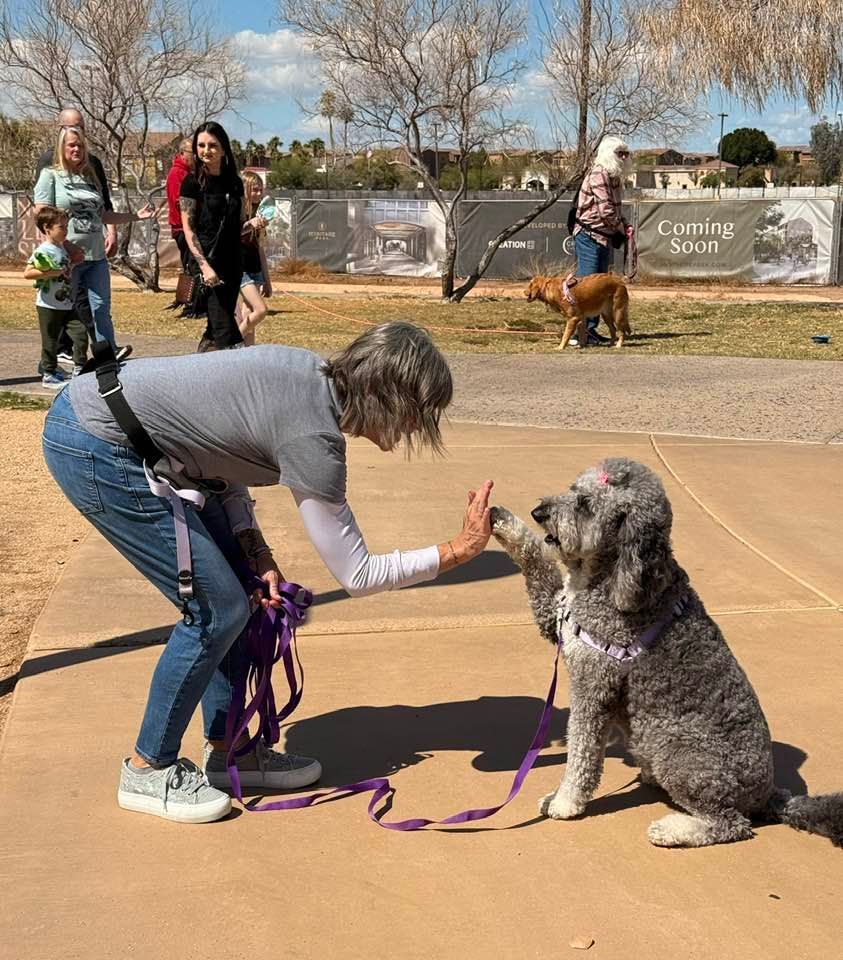 Positive Dog Training